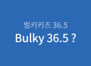 벌키키즈 36.5 Bulky 36.5 ?